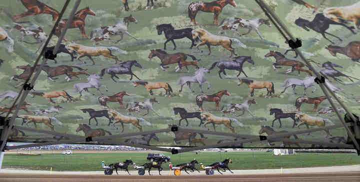 Horses line Michael Kirby's tent as the 9th race starts at the 73rd Little Brown Jug at Delaware County Fairground on September 20, 2018.  Kirby bought the tent over 10 years ago and his family has been coming to the Little Brown Jug for over 50 years.    (Kyle Robertson / The Columbus Dispatch)